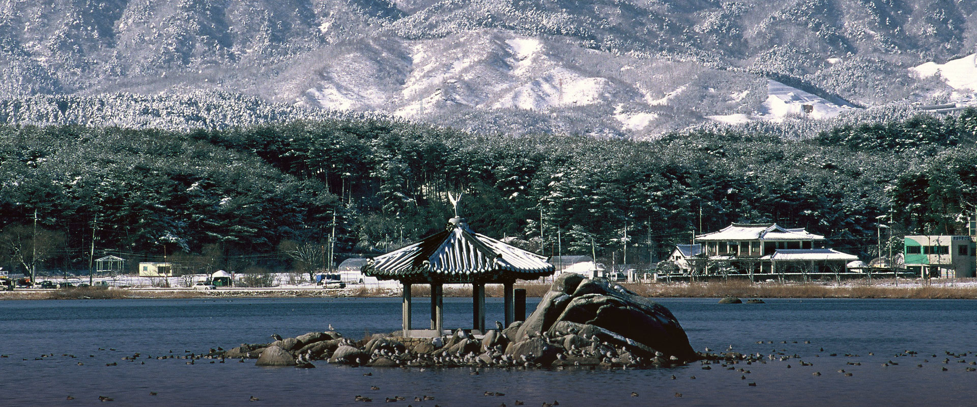 test image