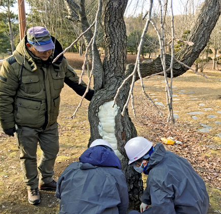 산림교육센터 사진3