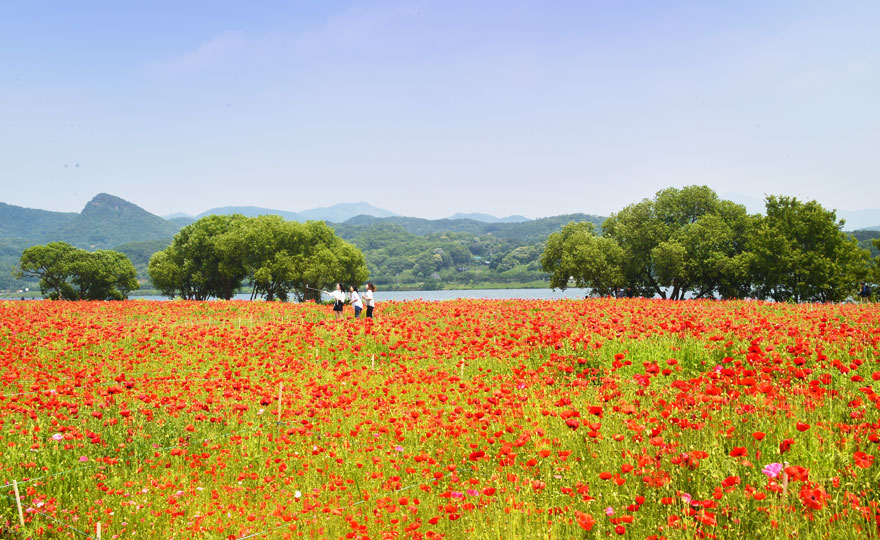 tourism img02